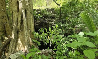 ¡Excelente terreno con Cenote en venta! Temozon, Yucatán.