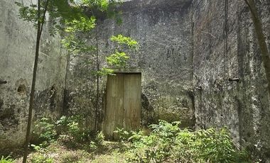 ¡Excelente terreno con Cenote en venta! Temozon, Yucatán.