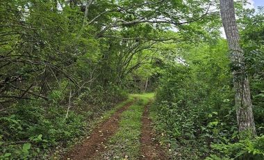 ¡Excelente terreno con Cenote en venta! Temozon, Yucatán.