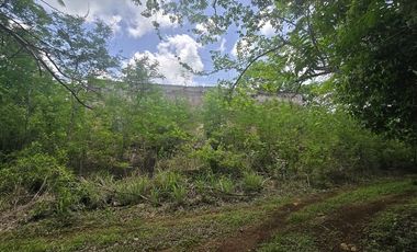 ¡Excelente terreno con Cenote en venta! Temozon, Yucatán.