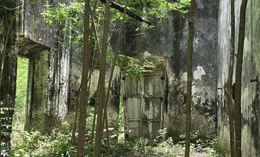 ¡Excelente terreno con Cenote en venta! Temozon, Yucatán.