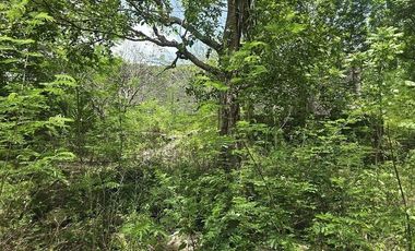 ¡Excelente terreno con Cenote en venta! Temozon, Yucatán.