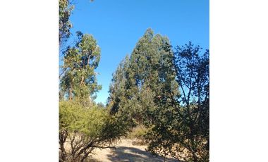 VENTA PARCELA EN PUMANQUE / 10.650 M2