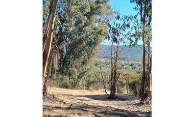 VENTA PARCELA EN PUMANQUE / 10.650 M2