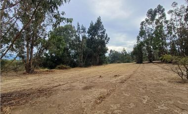 VENTA PARCELA EN PUMANQUE / 10.650 M2