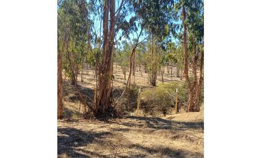 VENTA PARCELA EN PUMANQUE / 10.650 M2