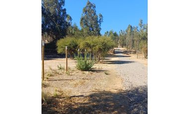 VENTA PARCELA EN PUMANQUE / 10.650 M2