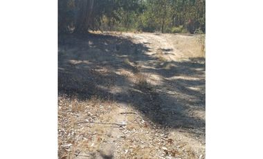 VENTA PARCELA EN PUMANQUE / 10.650 M2
