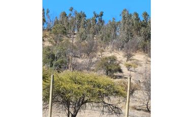 VENTA PARCELA EN PUMANQUE / 10.650 M2
