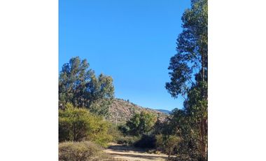VENTA PARCELA EN PUMANQUE / 10.650 M2