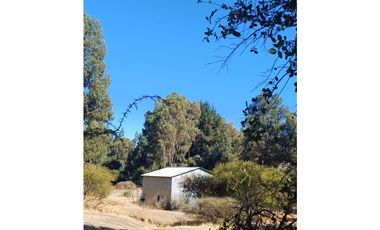 VENTA PARCELA EN PUMANQUE / 10.650 M2