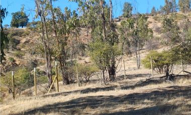 VENTA PARCELA EN PUMANQUE / 10.650 M2