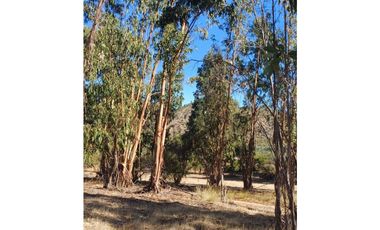 VENTA PARCELA EN PUMANQUE / 10.650 M2