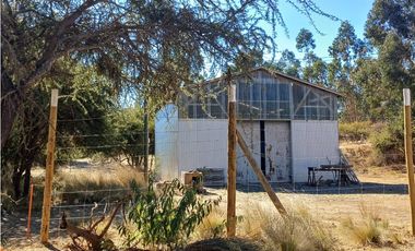 VENTA PARCELA EN PUMANQUE / 10.650 M2