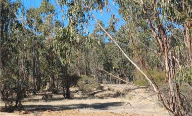 VENTA PARCELA EN PUMANQUE / 10.650 M2