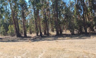 VENTA PARCELA EN PUMANQUE / 10.650 M2