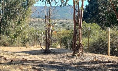VENTA PARCELA EN PUMANQUE / 10.650 M2