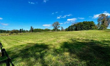 Parcela en venta en OSORNO