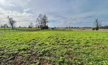 Parcela en venta en OSORNO