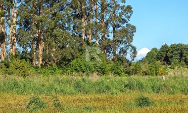 PARCELA EN RESERVA DE FRUTILLAR
