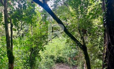 PARCELA EN RESERVA DE FRUTILLAR