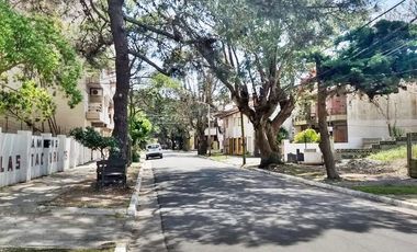 Local - San Bernardo Del Tuyu