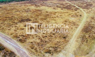 TERRENO COMERCIAL EN RENTA UBICADO EN TEXCOCO