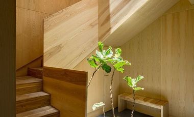 Casa en Renta en Condesa
