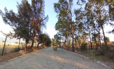 TERRENO EN VENTA EN FRACCIONAMIENTO, CERCA DE CHIPILO