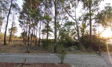 TERRENO EN VENTA EN FRACCIONAMIENTO, CERCA DE CHIPILO