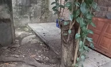 VENTA DE PH TIPO CASA AL FRENTE CON LOCAL Y GARAJE (284M2)