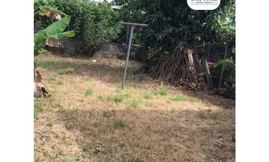 SE VENDE O SE ALQUILA CON OPCIÓN A COMPRA - EN PUNTA DEL ESTE