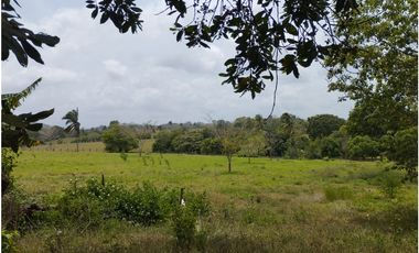 Se Vende Finca Comercial de 1 HAS El Espino-La Chorrera (DR)