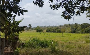 Se Vende Finca Comercial de 1 HAS El Espino-La Chorrera (DR)