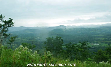 CAPIRA / CERMEÑO / 6 HECTAREAS / BOSQUES / SENDEROS / OJOS DE AGUA