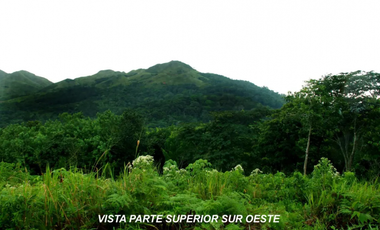 CAPIRA / CERMEÑO / 6 HECTAREAS / BOSQUES / SENDEROS / OJOS DE AGUA