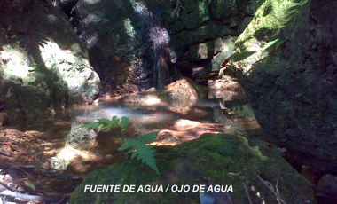 CAPIRA / CERMEÑO / 6 HECTAREAS / BOSQUES / SENDEROS / OJOS DE AGUA