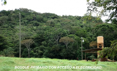 CAPIRA / CERMEÑO / 6 HECTAREAS / BOSQUES / SENDEROS / OJOS DE AGUA