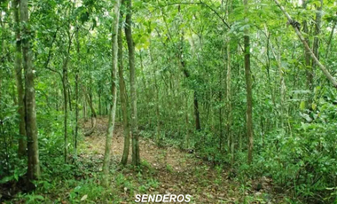 CAPIRA / CERMEÑO / 6 HECTAREAS / BOSQUES / SENDEROS / OJOS DE AGUA