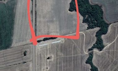Zona Espinillo. Vendo 13 Hectareas de campo en produccion.