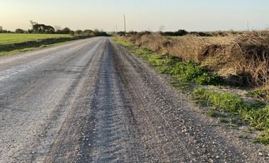 Zona Espinillo. Vendo 13 Hectareas de campo en produccion.
