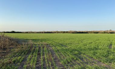 Zona Espinillo. Vendo 13 Hectareas de campo en produccion.