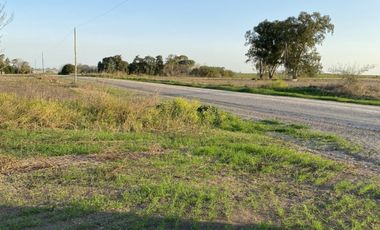 Zona Espinillo. Vendo 13 Hectareas de campo en produccion.