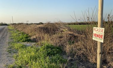 Zona Espinillo. Vendo 13 Hectareas de campo en produccion.