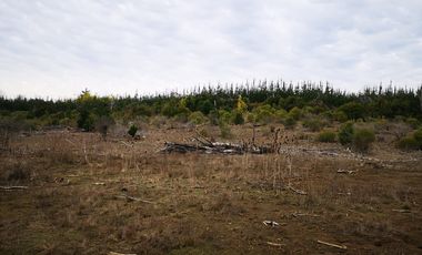 Venta Parcelas Buen Recuerdo Parral