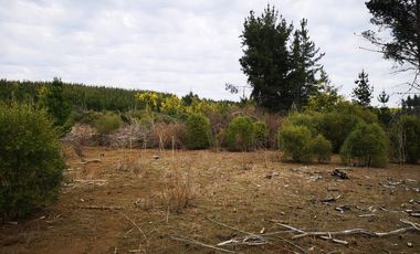 Venta Parcelas Buen Recuerdo Parral