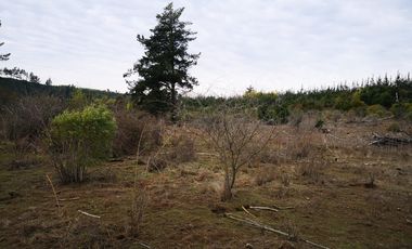 Venta Parcelas Buen Recuerdo Parral