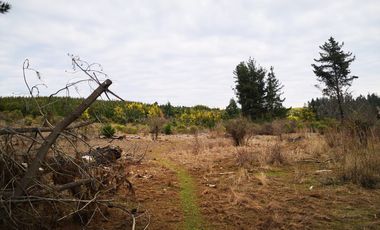 Venta Parcelas Buen Recuerdo Parral