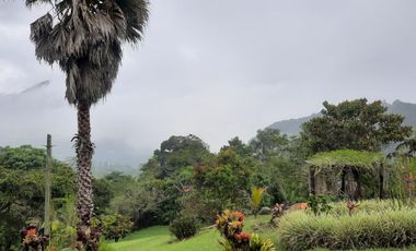 Venta Finca Dapa