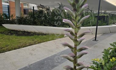 GRAN OPOTUNIDAD DEPARTAMENTO EN RENTA DENTRO DE LA SEXTA SECCIIÓN DE LOMAS VERDES